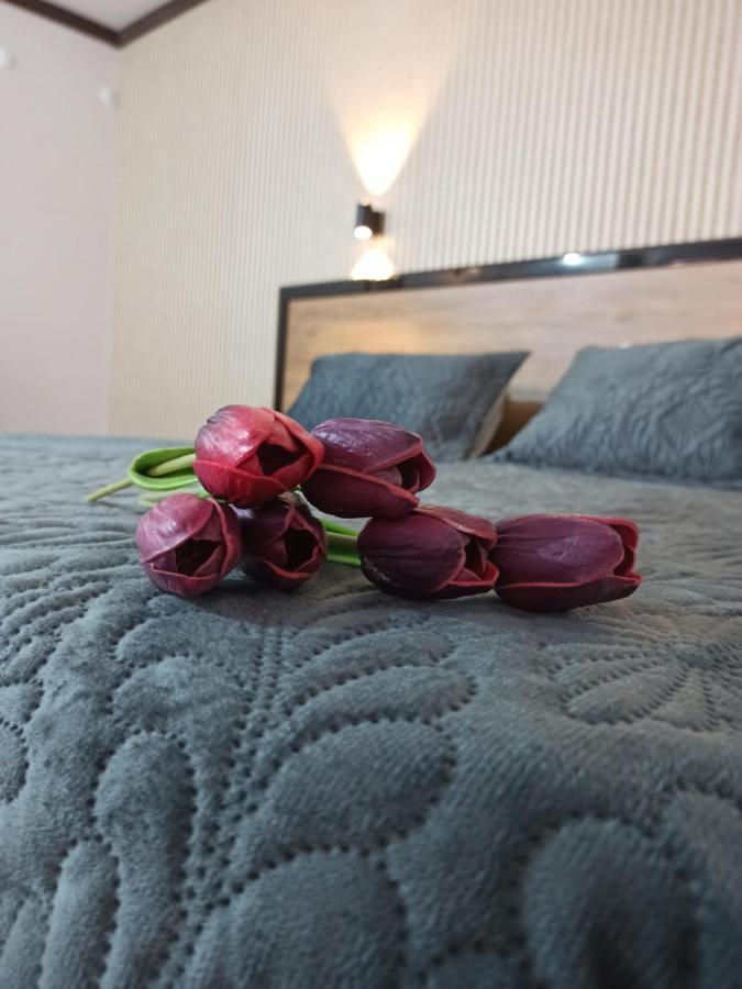 אקסאראי Suevari Hotel מראה חיצוני תמונה